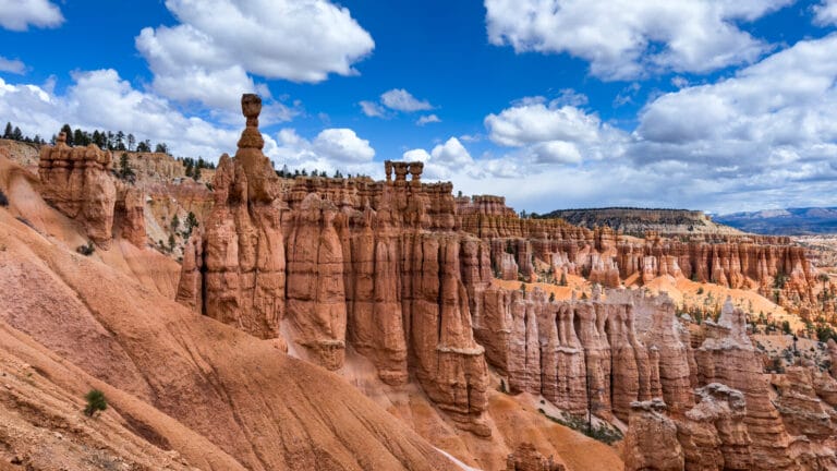 The 100 Best Hiking Trails in the US According to AllTrails